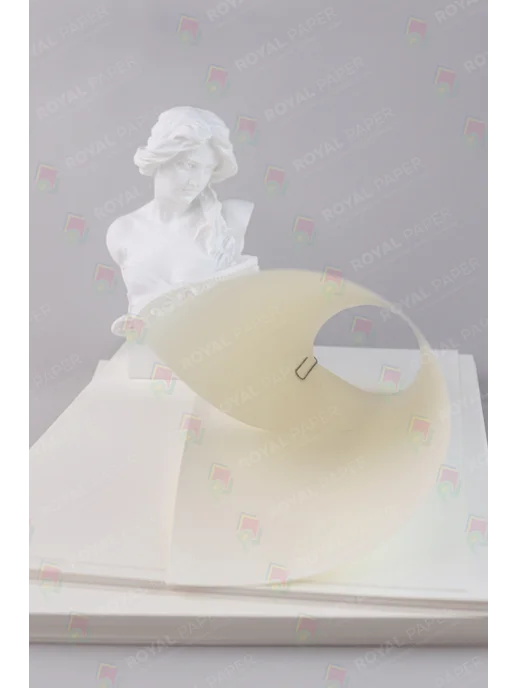 Бумага Royal Paper WB Цветная A4, 80 г/м², 2 пачки по 250 листов, матовая, ассорти 4 цветов, фото 4