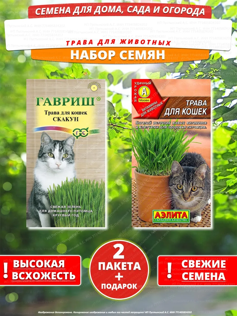 Семена трава для животных для дома сада посадки