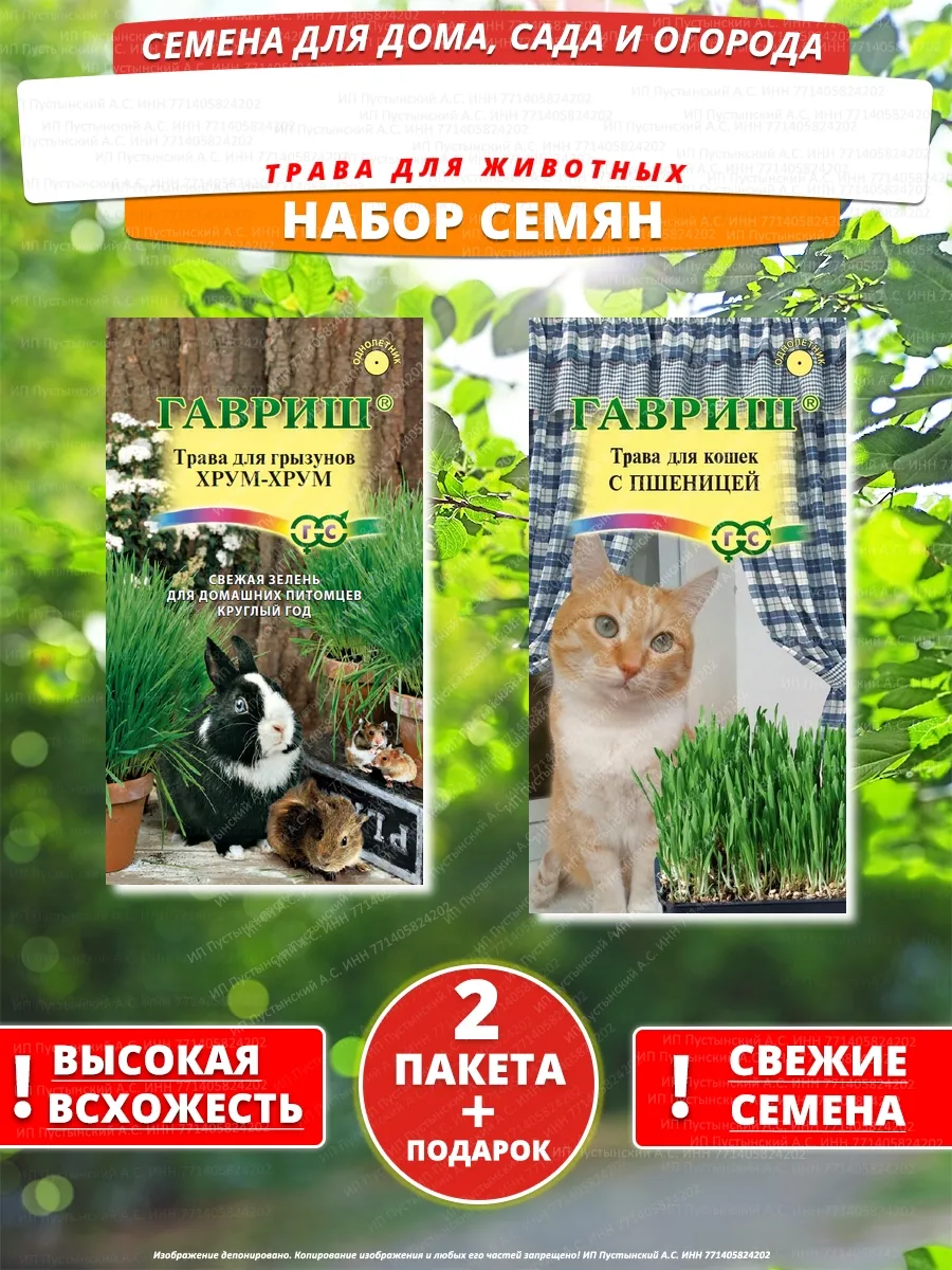 Семена трава для животных для дома сада посадки