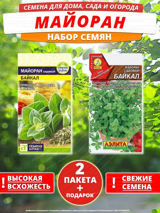 Семена майоран для дома сада посадки, вариант