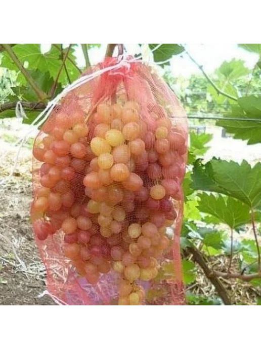 Мешки садовые для винограда, 100 шт, красные и желтые, 100 шт, фото 3