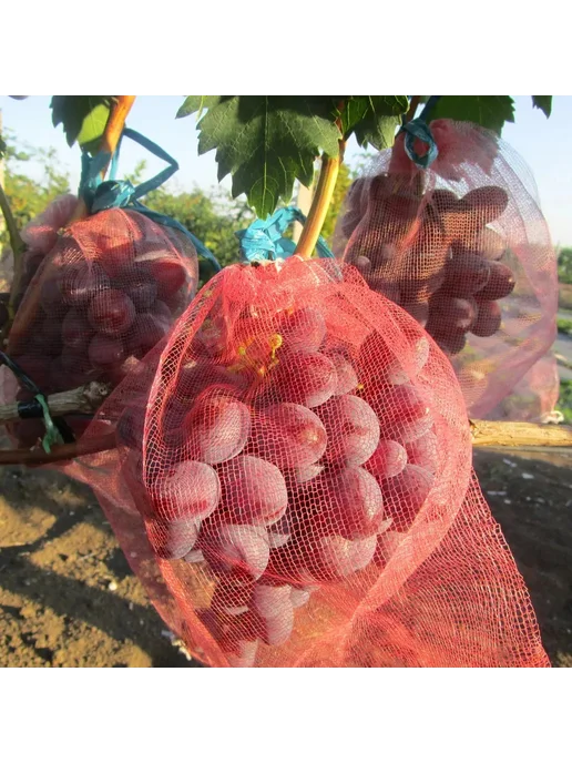 Мешки садовые для винограда, 100 шт, красные и желтые, 100 шт, фото 4