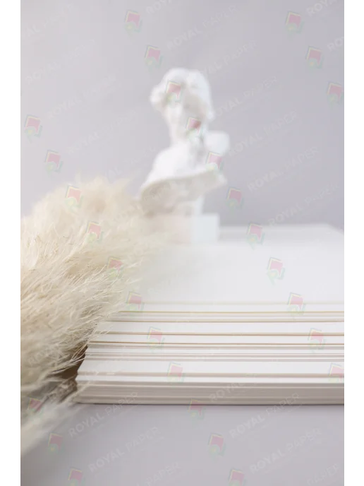 Бумага Royal Paper WB Цветная A4, 120 г/м², 2 пачки по 100 листов, матовая, ассорти 4 цветов, фото 3
