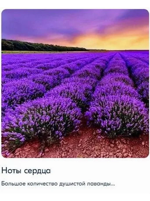 Одеколон мужской 100 мл, 100 мл, фото 5
