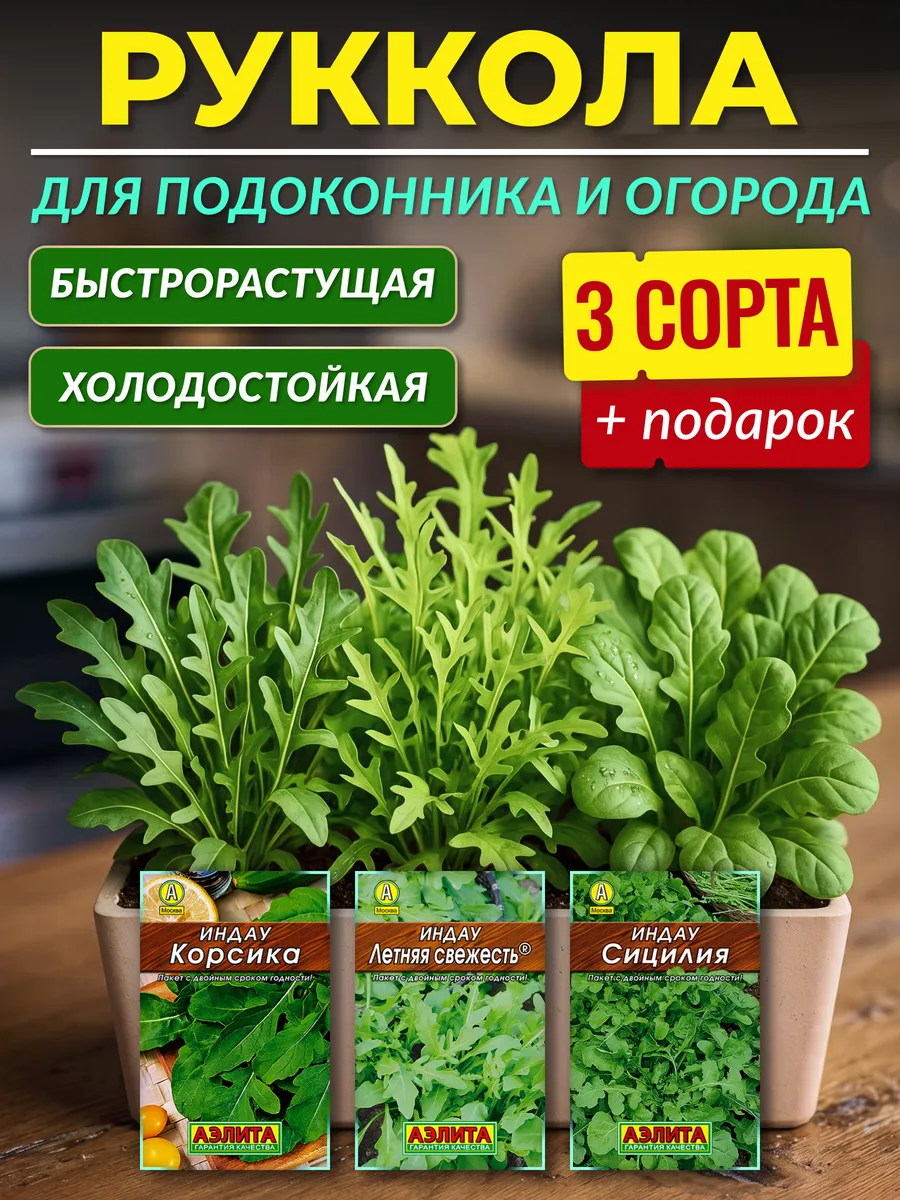 Семена рукколы для посадки для подоконника и огорода