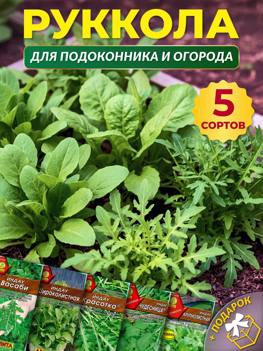 Семена рукколы для подоконника и огорода