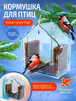 Кормушка для птиц на присосках уличная прозрачная