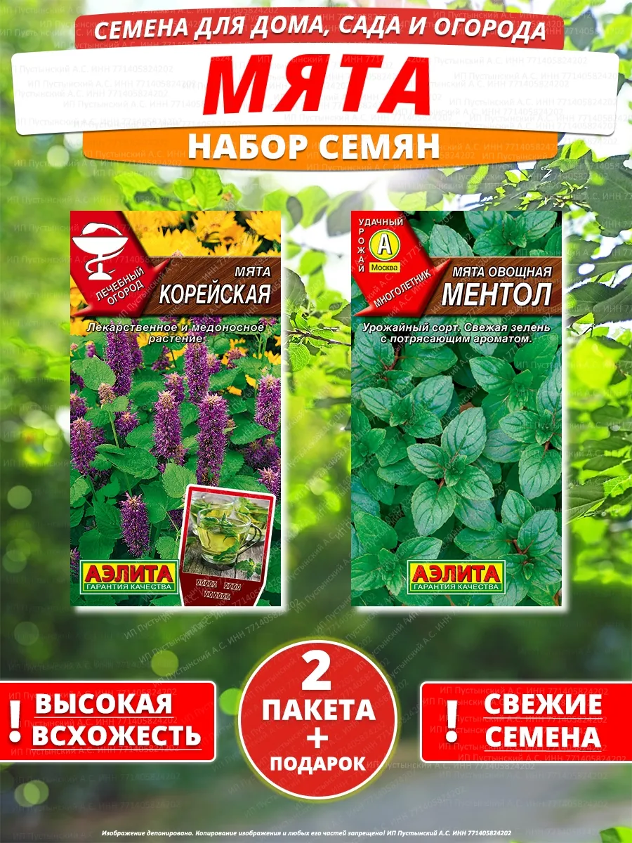 Семена мята для дома сада посадки