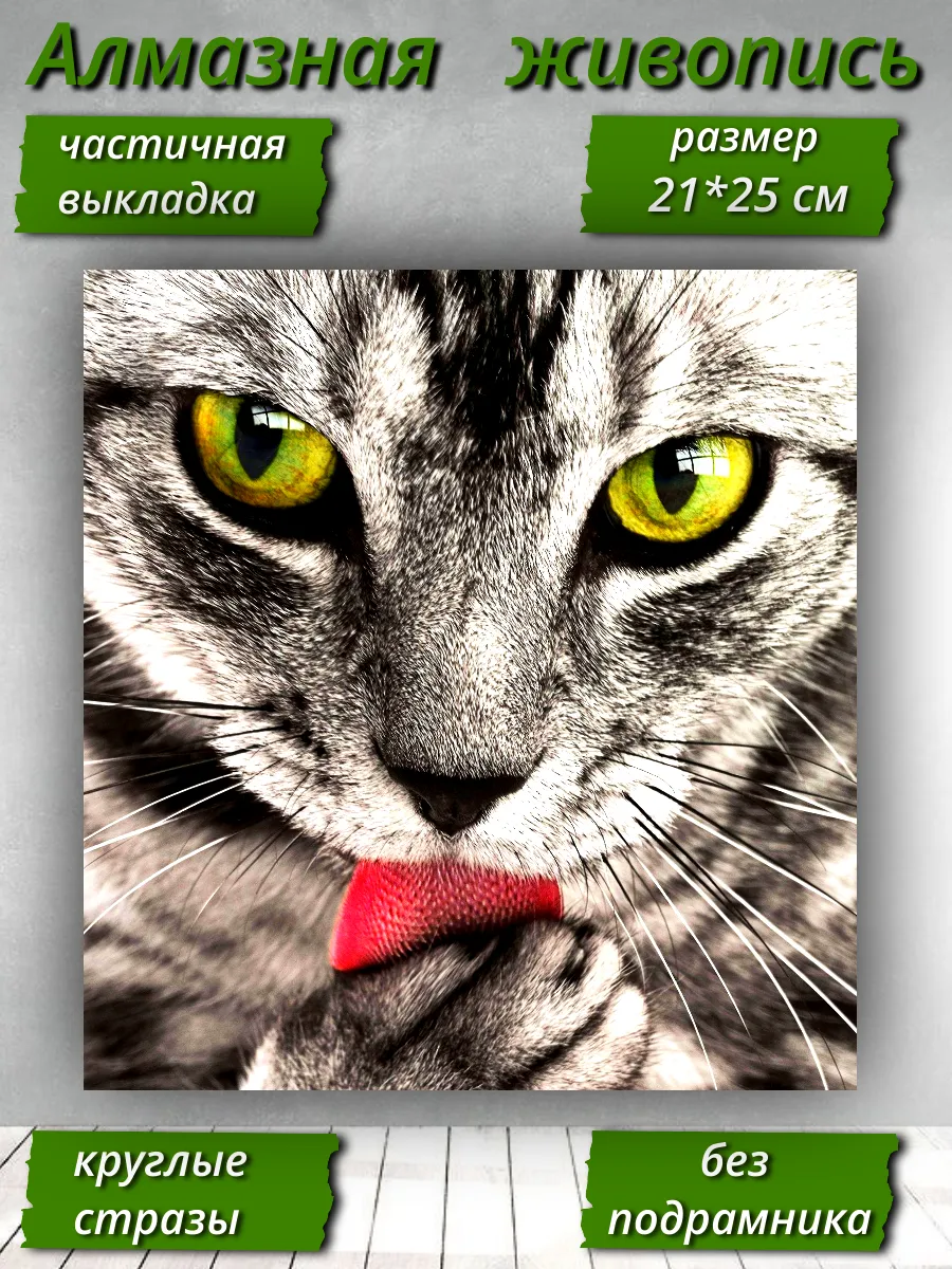 Алмазная мозаика 21*25 см