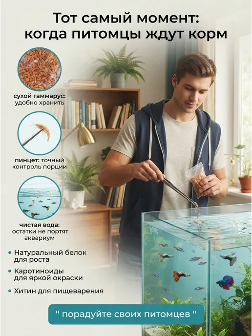 стиль юг и север Корм сухой для черепах, аквариумных рыбок, улиток, вариант, фото 2