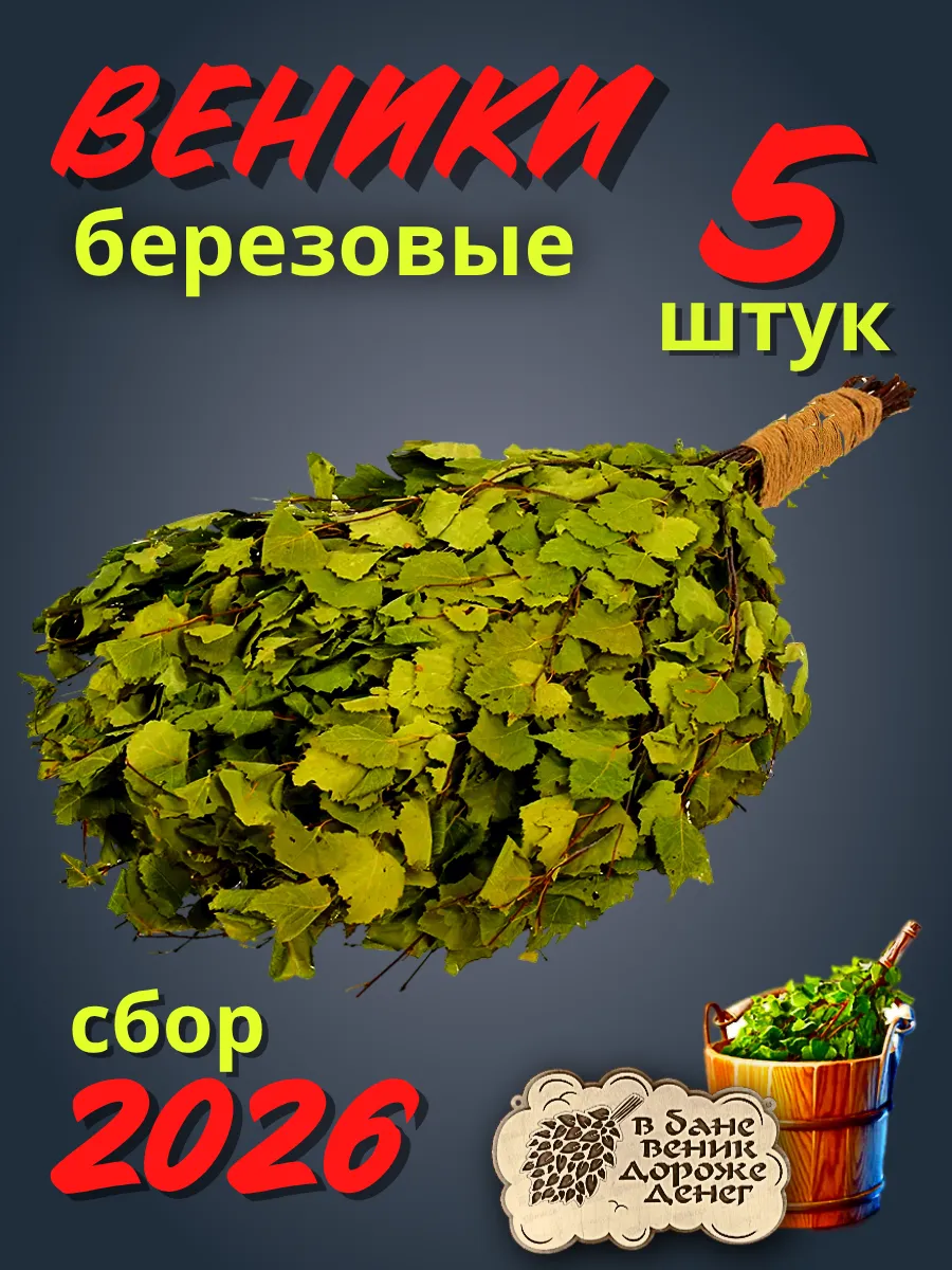 Веники для бани березовые 5 штук