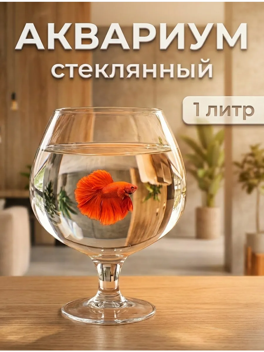 Аквариум для рыбок стеклянный маленький