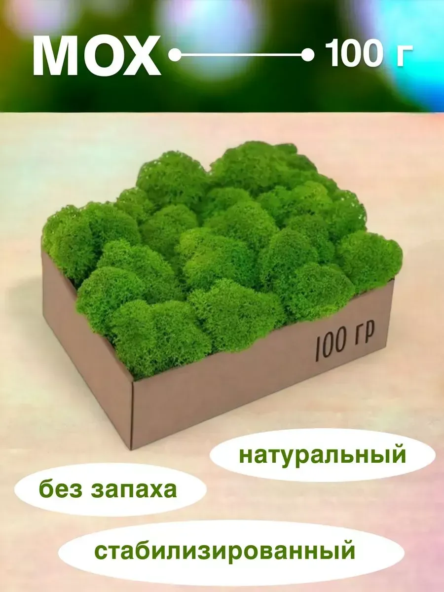 стабилизированный мох зелёный для фитодизайна и инсталляций