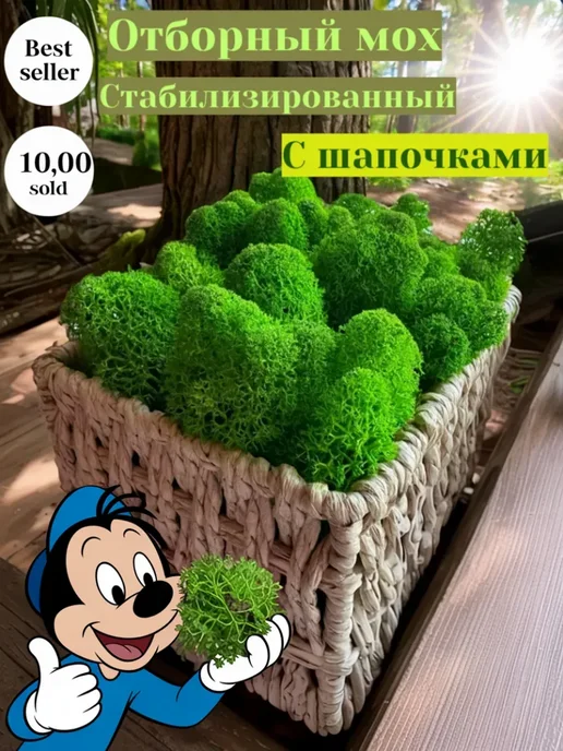 Стабилизированный мох на стену мох крупная фракция для макетов и диорам ровная фактура мха, вариант, фото 5