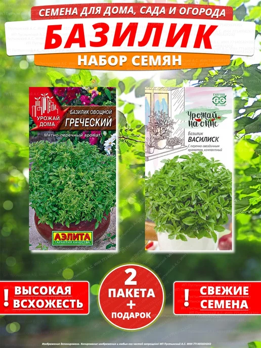 Семена базилик для дома сада посадки, вариант