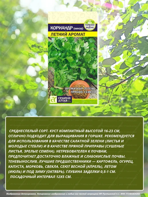 Семена кориандр для дома сада посадки, вариант, фото 2