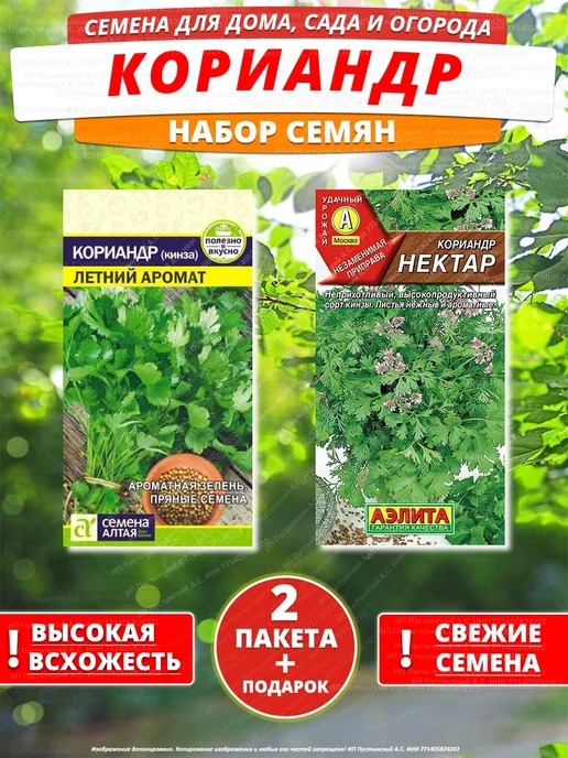 Семена кориандр для дома сада посадки, вариант