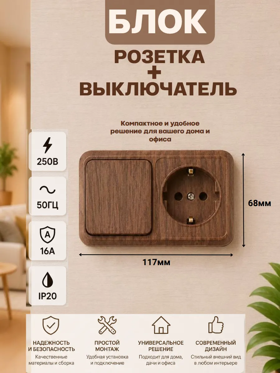 Блок розетка выключатель одноклавишный с заземлением 250В