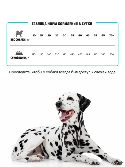 Сухой корм KARMY Hypoallergenic для собак, крупные, средние, ягненок, 14,1 кг, фото 2