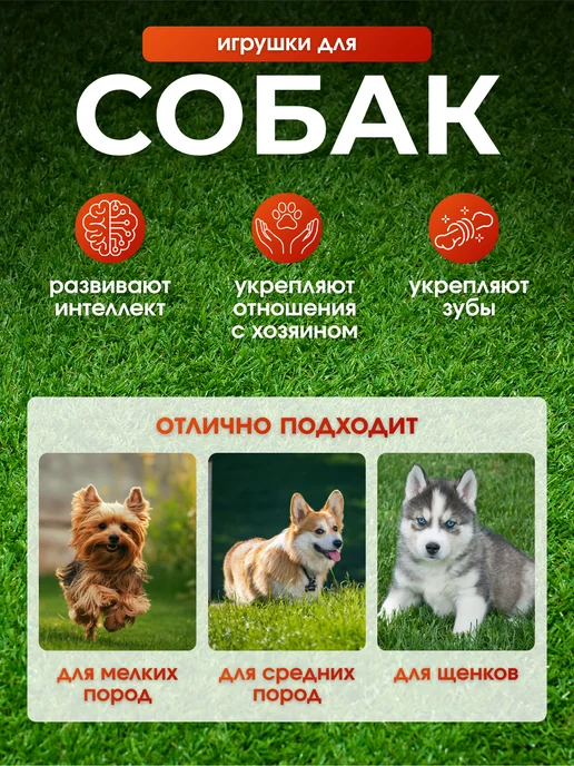 Рокки и Стрелка Игрушки для собак мелких, средних пород и щенков набор 10шт, 10 шт, фото 2