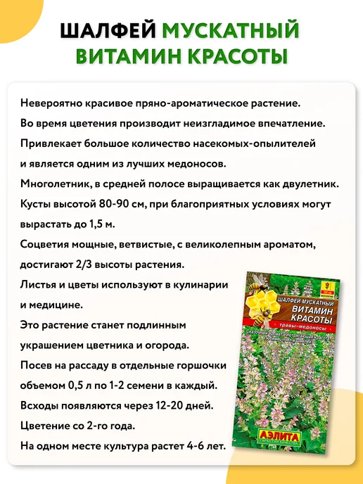 Агрофирма АЭЛИТА Семена шалфея мускатного многолетнего, вариант, фото 2