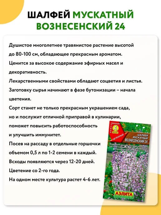 Агрофирма АЭЛИТА Семена шалфея мускатного многолетнего, вариант, фото 3