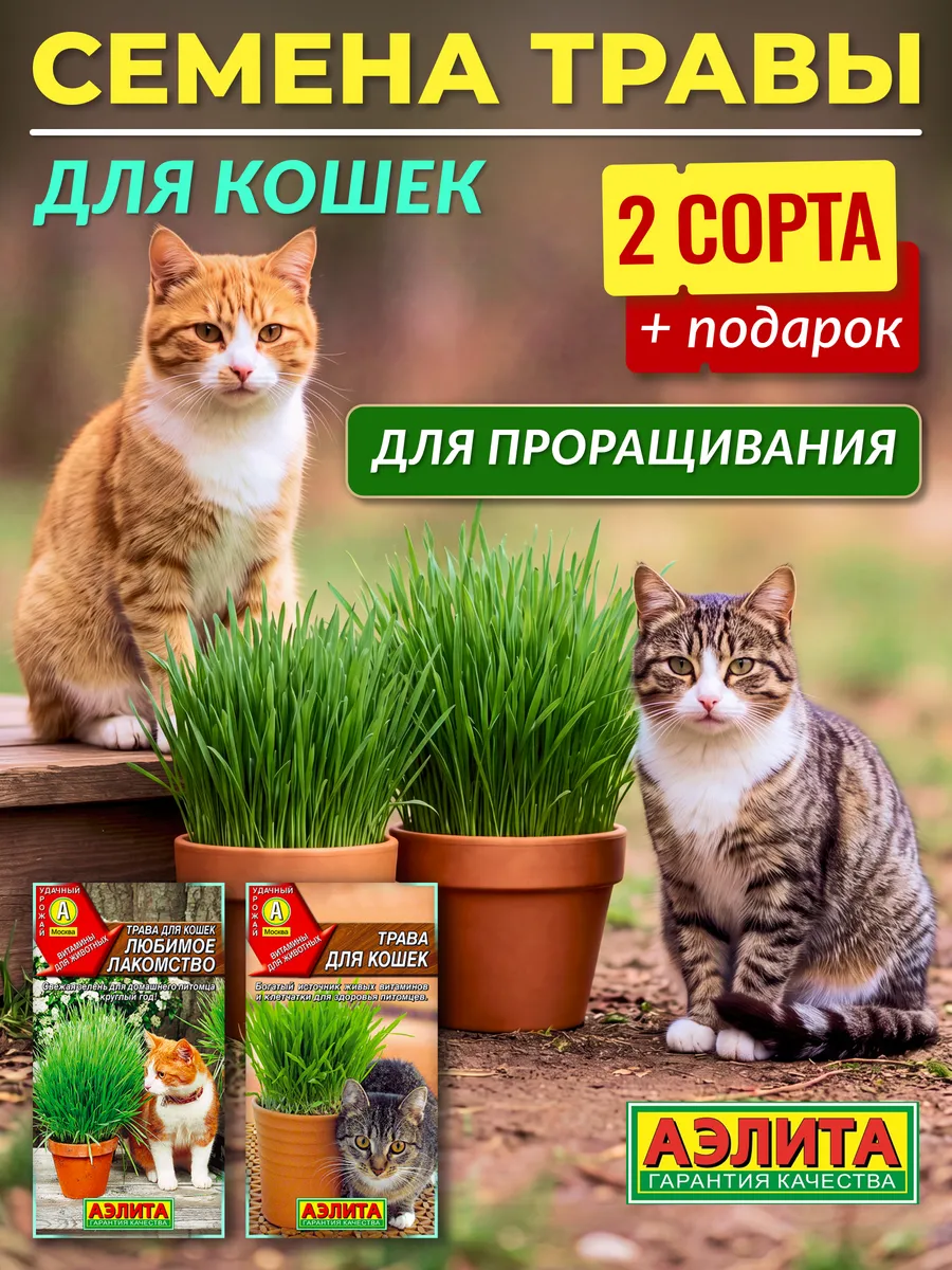 Семена травы для кошек