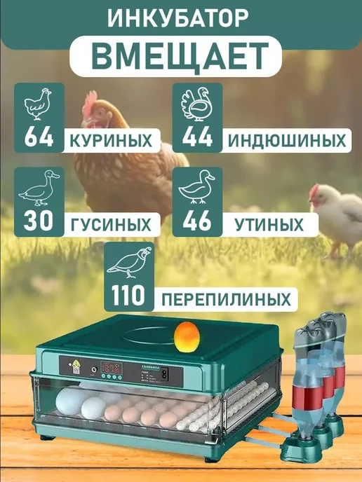 Инкубатор для яиц автоматический с терморегулятором, зеленый, фото 2