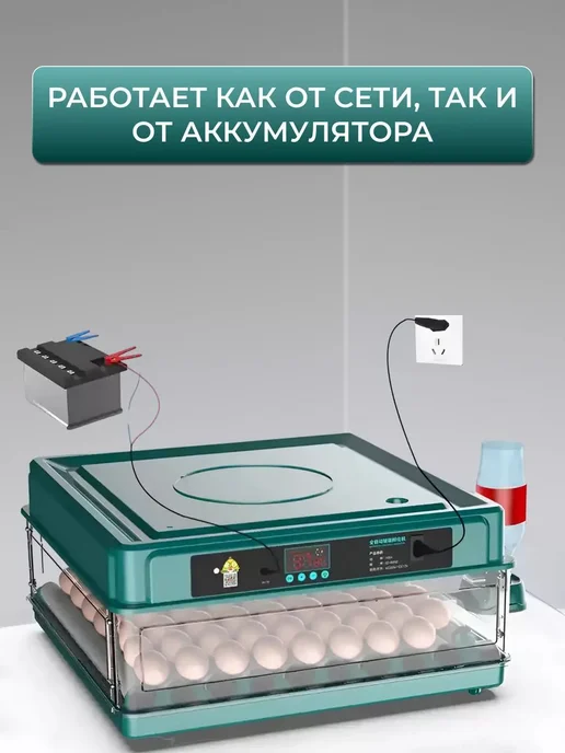Инкубатор для яиц автоматический с терморегулятором, зеленый, фото 4