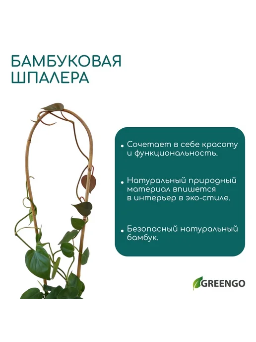 Дуга для подвязки растений, h=60 см, бамбук, Greengo, бежевый, фото 3