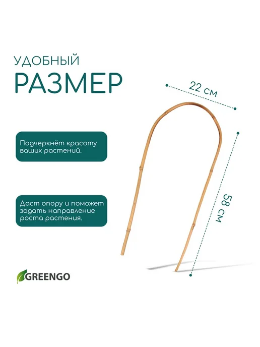 Дуга для подвязки растений, h=60 см, бамбук, Greengo, бежевый, фото 4