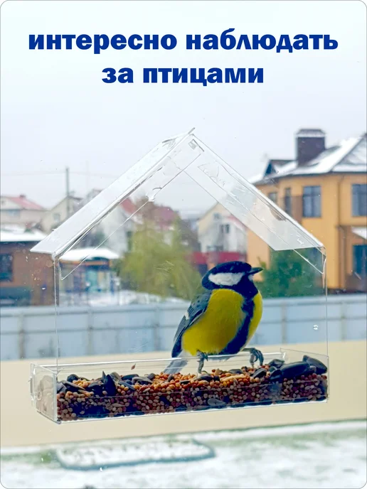 AcrylART Кормушка для птиц на окно уличная прозрачная, белый, фото 5