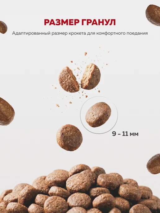 Сухой корм ЗООГУРМАН для собак, стерилизованные, ягненок, 1,2 кг, фото 3