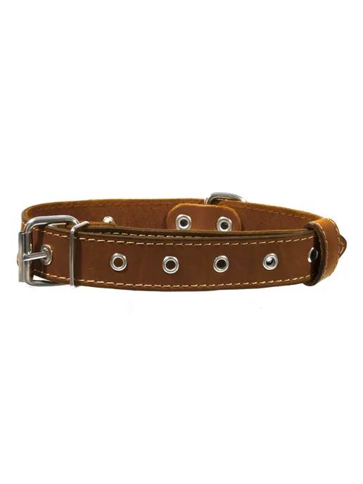PetShop Ошейник для собак кожаный 54 см рыжий Yami Yami, оранжевый, фото 2