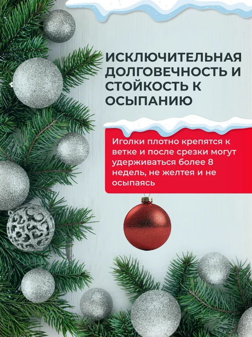 Елки Едут Живые еловые веточки для декора лапник Пихты Нобилис 500 г, 500 г, фото 2