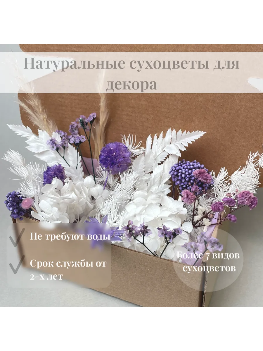 Натуральные сухоцветы для декора со скабиозой