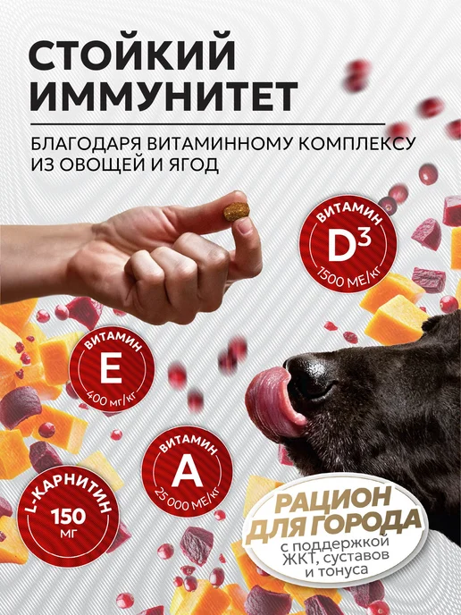 Сухой корм JUST DOG для собак, крупные, средние, говядина, 1,2 кг, фото 5