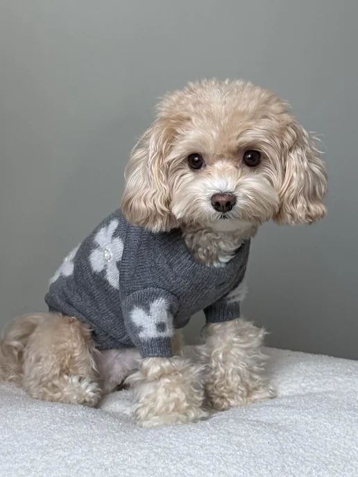 Pawsy Одежда для собак кошек мелких пород, свитер для собак, серый, фото 2
