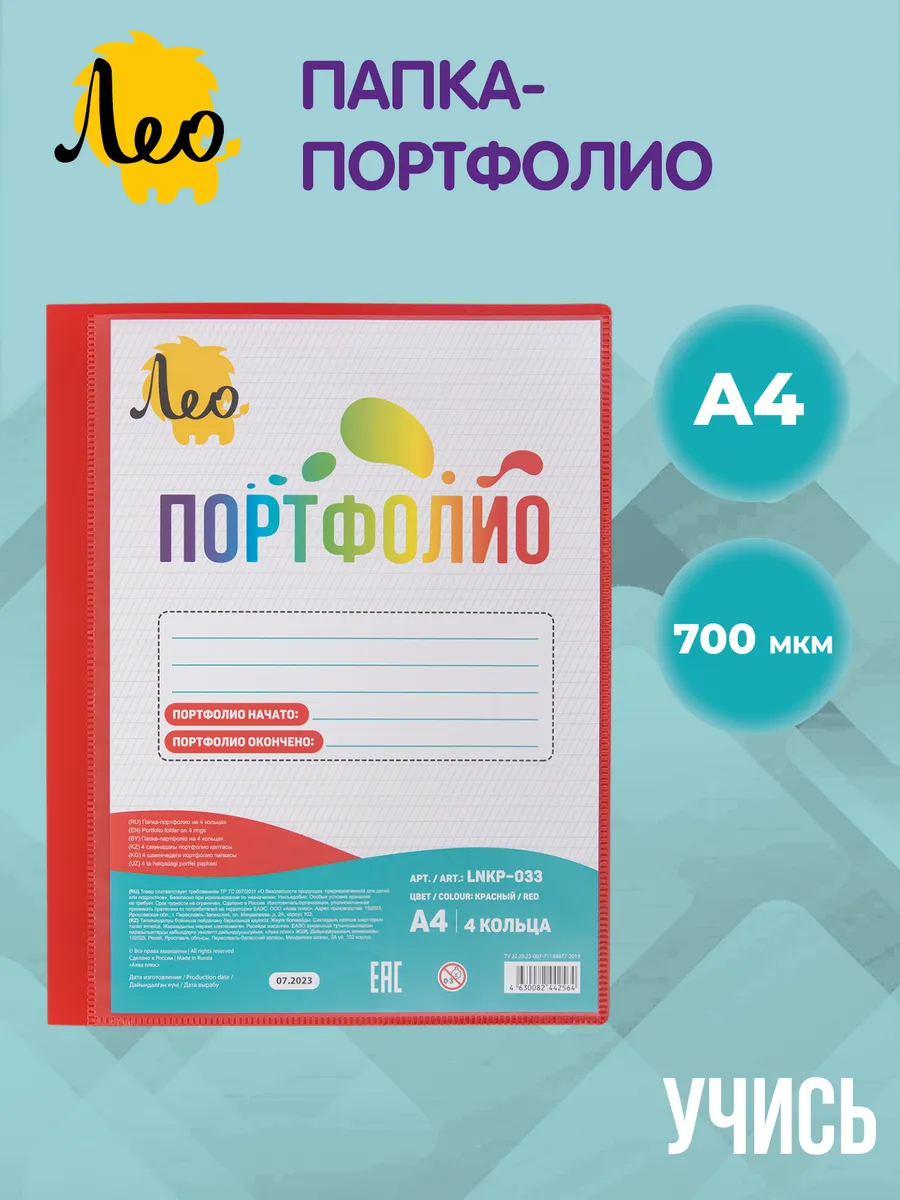 Папка портфолио школьника на 4 кольцах A4