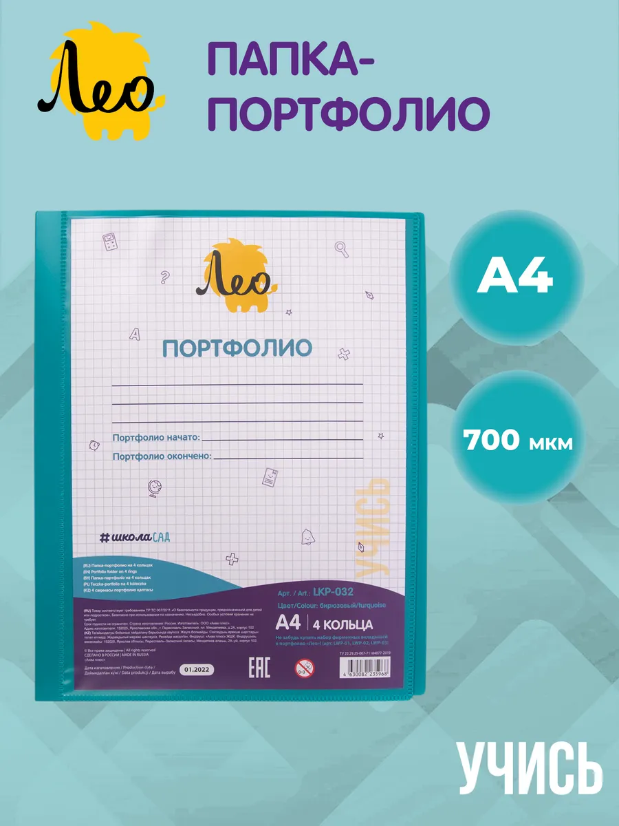 Папка портфолио школьника на 4 кольцах A4