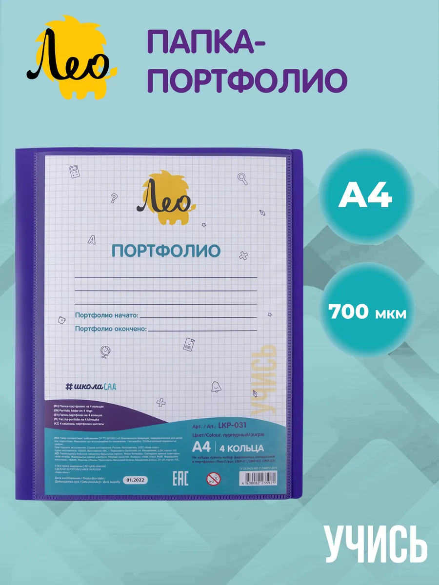 Папка портфолио школьника на 4 кольцах A4