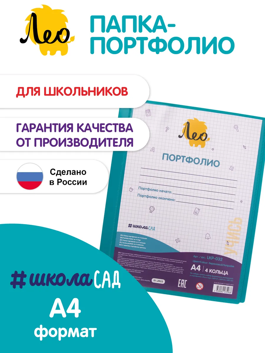Папка портфолио школьника на 4 кольцах A4