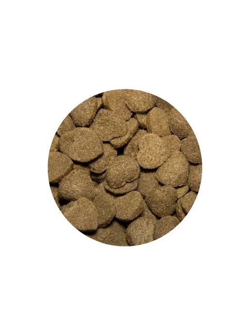 Сухой корм Tasty для собак, говядина, 2,2 кг, фото 2