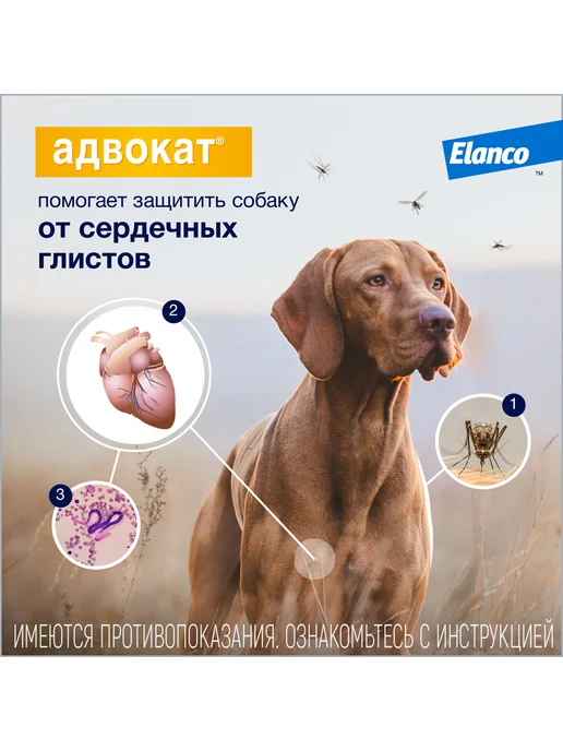Elanco Адвокат капли для собак от 10 до 25кг (2,5мл) 1 пипетка, 25 кг, 2,5 мл, фото 6