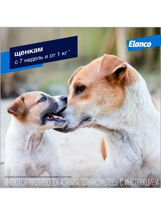 Elanco Адвокат капли для собак от 10 до 25кг (2,5мл) 1 пипетка, 25 кг, 2,5 мл, фото 7