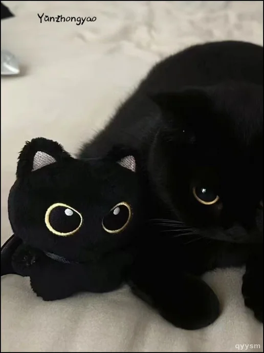 Порно көру: сикке отырды Порно түсірілімдегі жұмыс сәттері