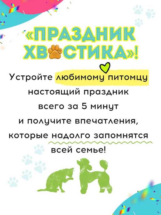 ТМ открытая планета Праздничный набор с колпаком на день рождения собаки, вариант, фото 6