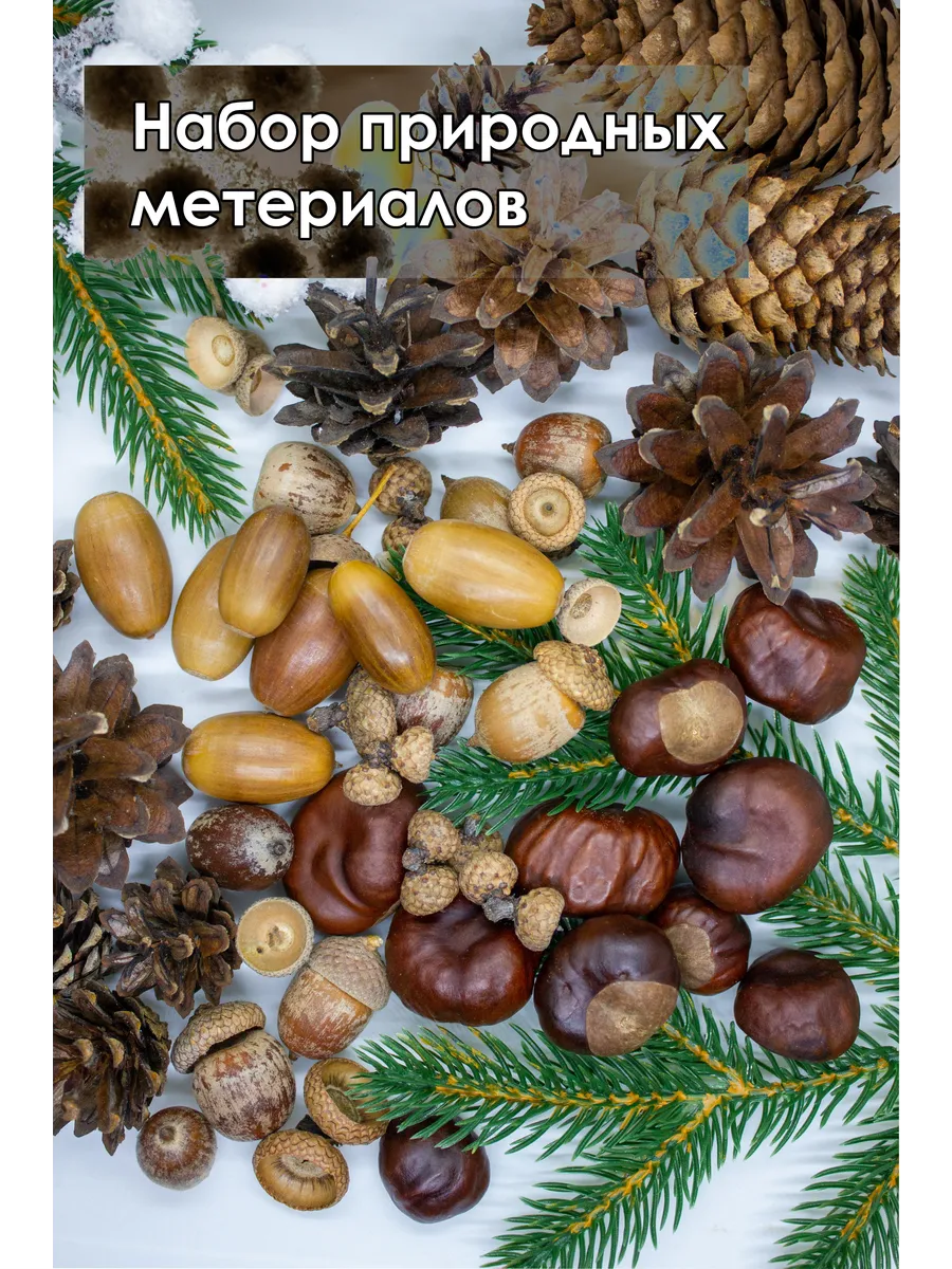 Набор для творчества, шишки, каштаны, желуди