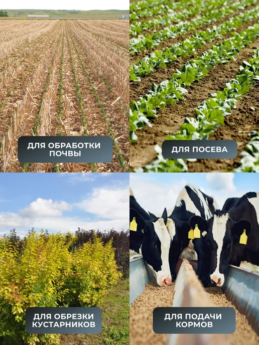 Культиватор бензиновый для огорода мощный МБ-8000-БФ — фото 3