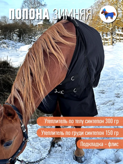 Конные сказки Попона зимняя прогулочная для лошади, черный, фото 2